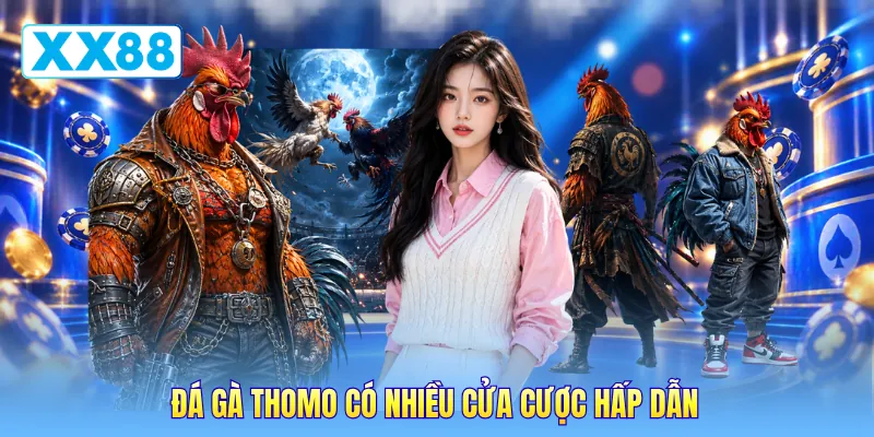 Đá gà Thomo có nhiều cửa cược hấp dẫn